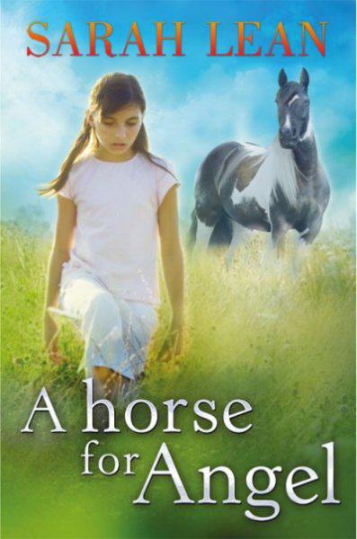 Jacket for 'A Horse For Angel'