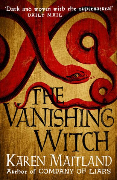 Jacket for 'The Vanishing Witch'