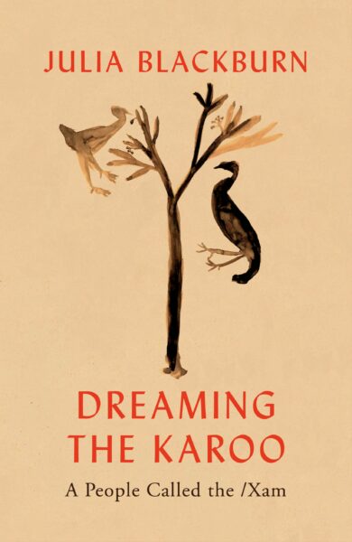 Jacket for 'Dreaming the Karoo'