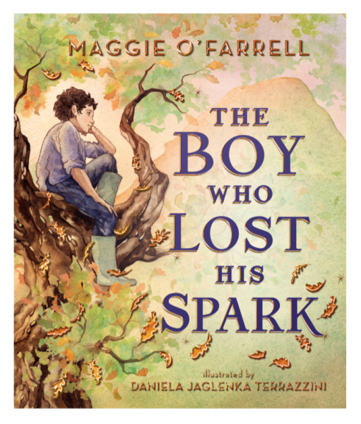 Jacket for 'The Boy Who Lost His Spark'